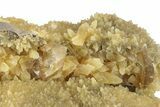 Honey Colored Barite Crystals on Fluorescent Calcite - Elk Creek #240833-1